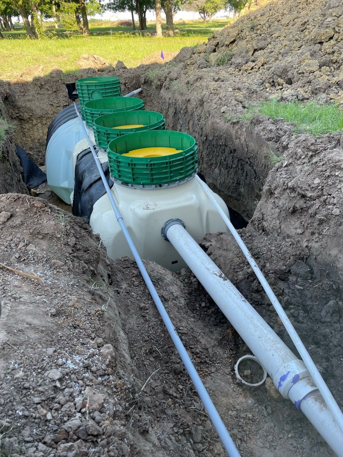 Fuji Clean Tank Distributor 3