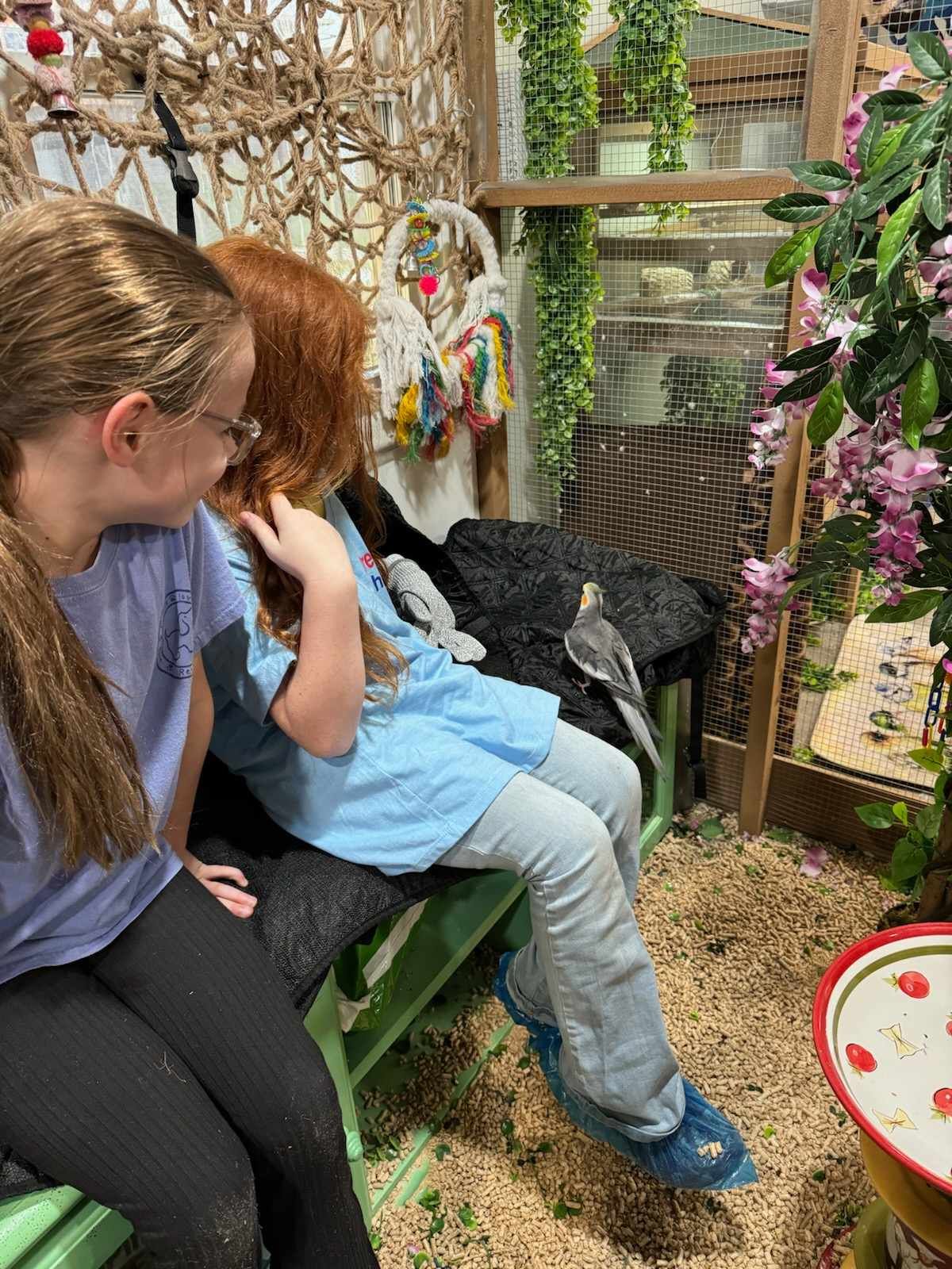 Two young girls are sitting on a bench looking at a bird.