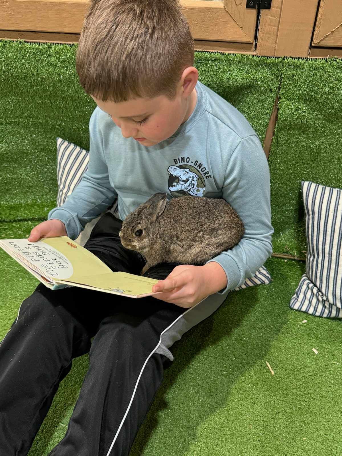 A young boy is holding a rabbit while reading a book.