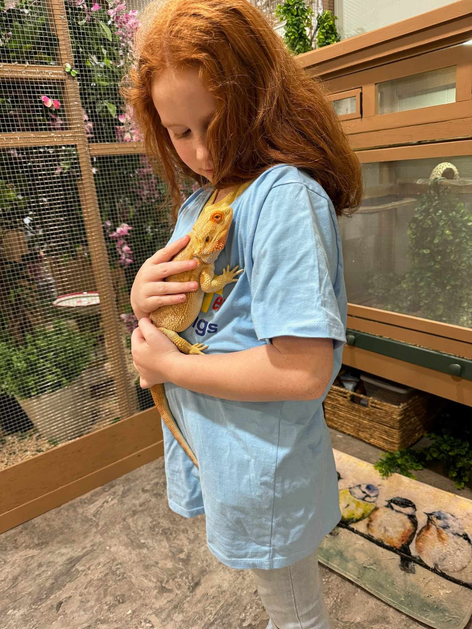 A little girl is holding a lizard in her arms.