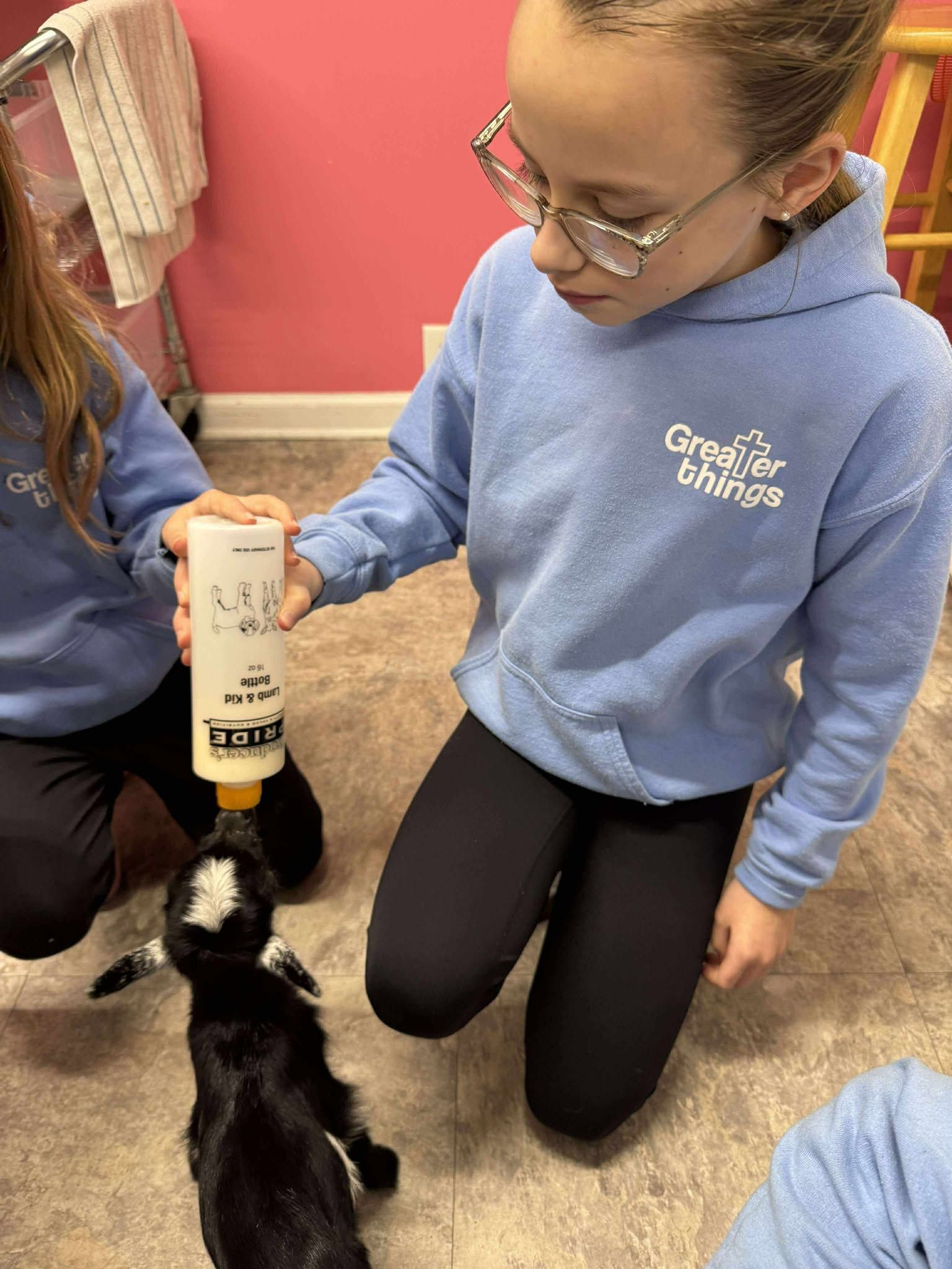 A girl is feeding a baby goat from a bottle.