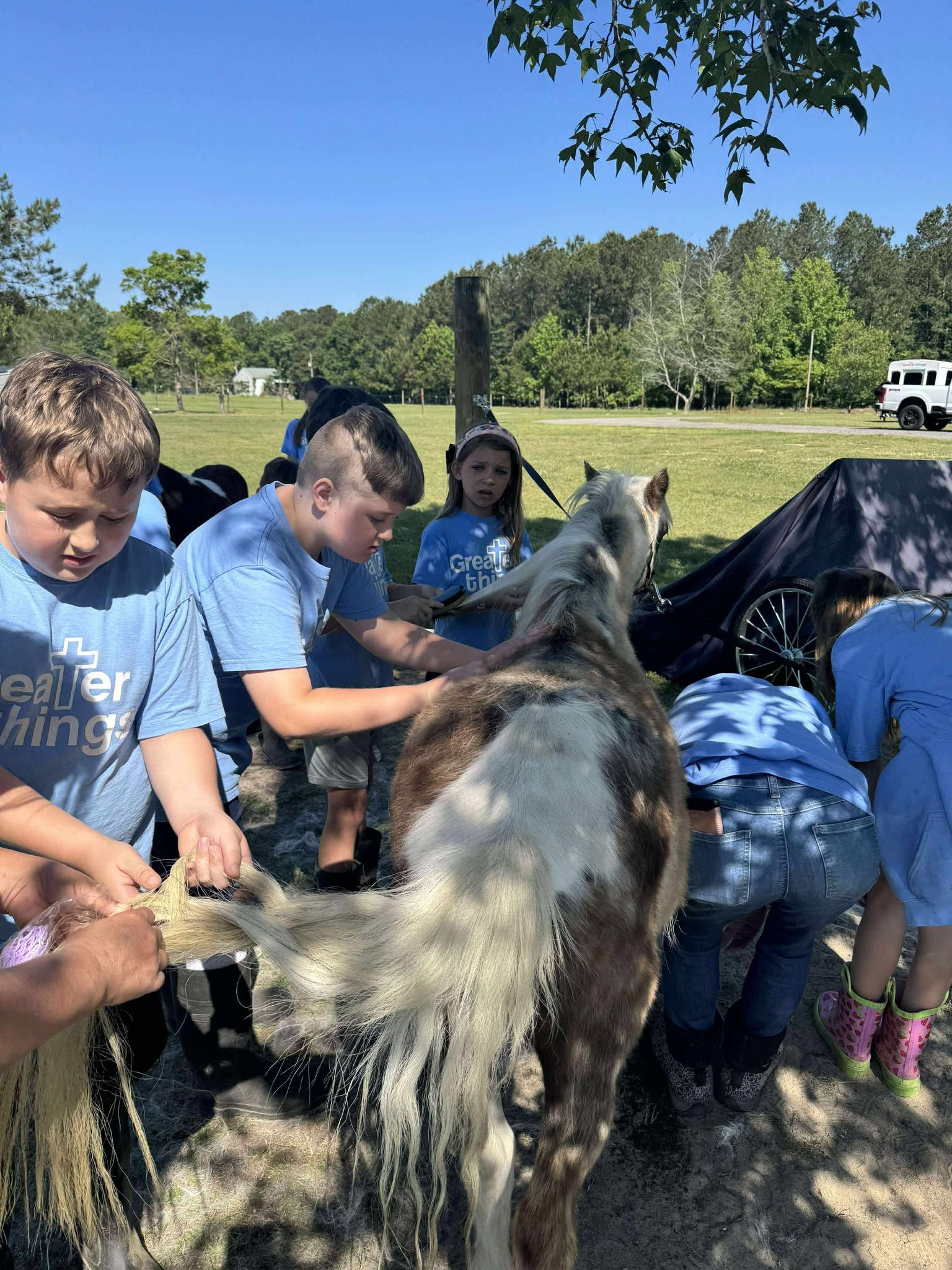 A group of children are standing around a horse in a field.