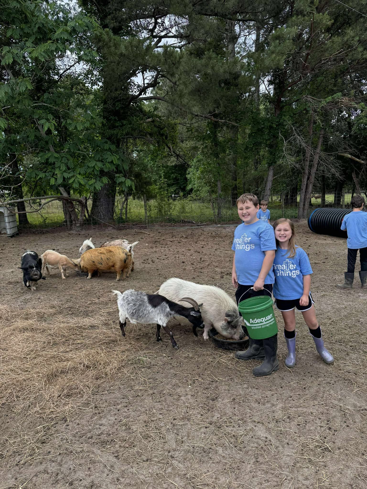 A boy and a girl are standing next to a herd of sheep.