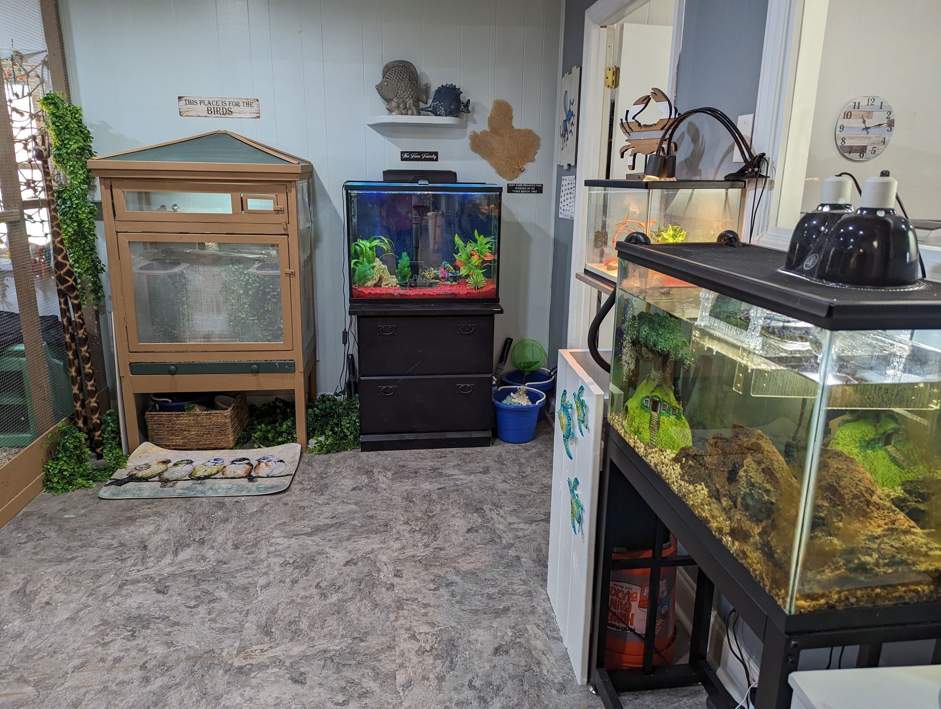 A room with a lot of fish tanks and a cage.