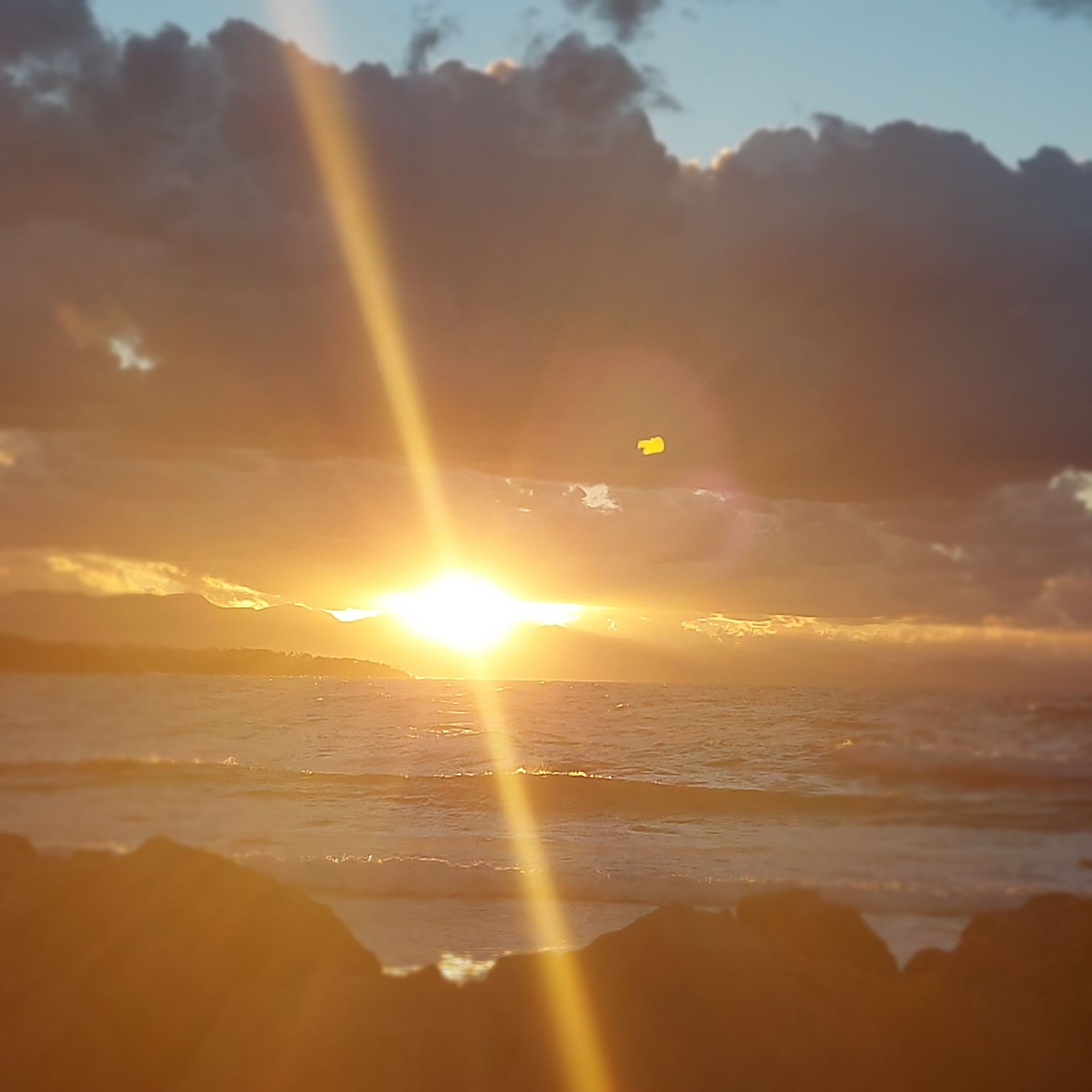 loopaancoaching-froukjevantetterode- zeevaninziht- loopbaanoacingzandvoort