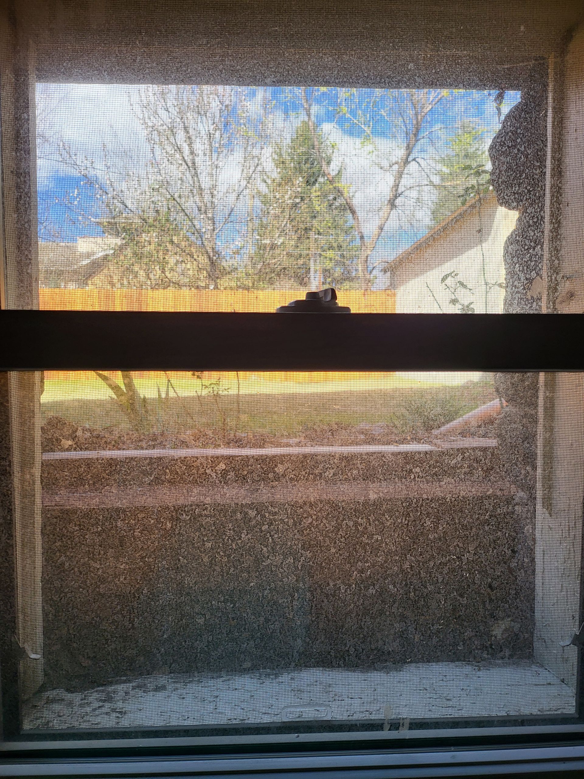 Close-up of two window screens with white handles and black bars.