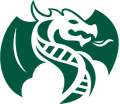 Dragon Master Initiative