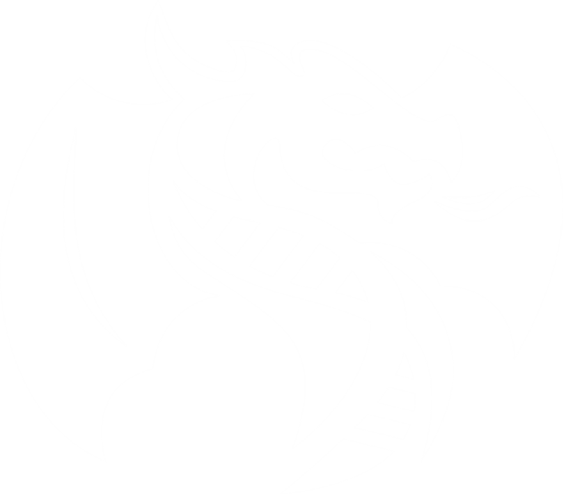 Dragon Master Initiative