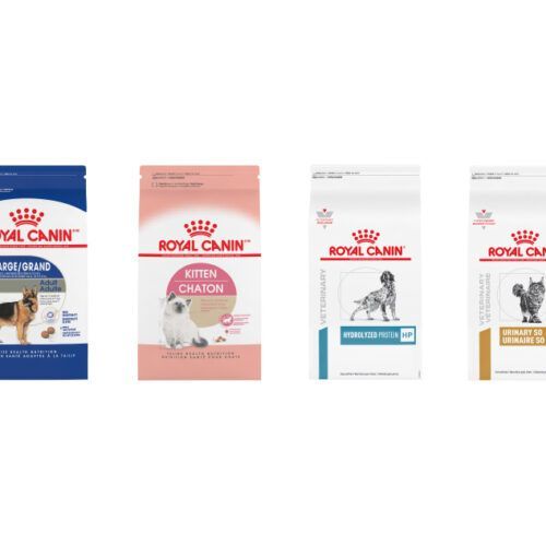 Royal Canin