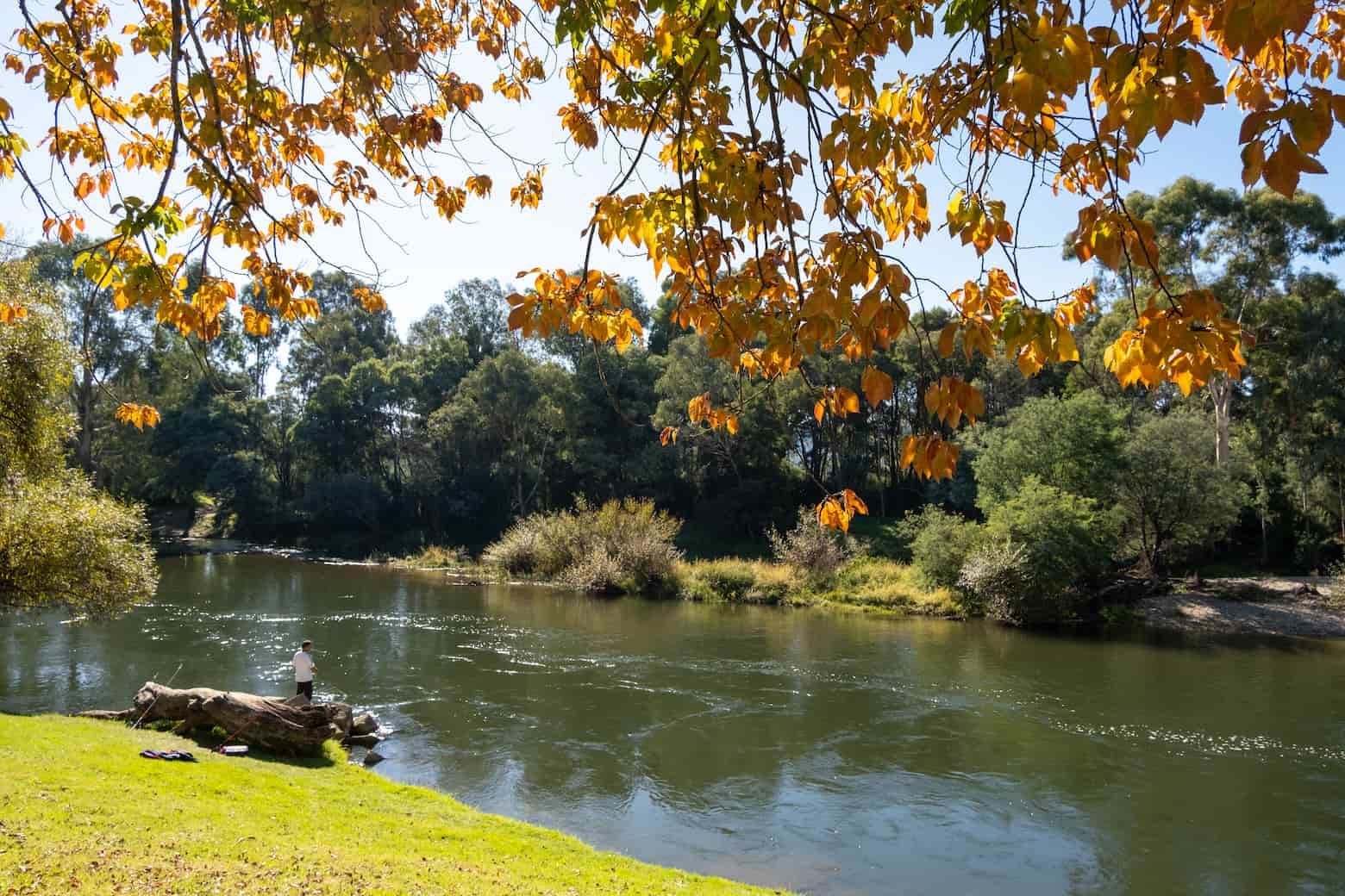 A River Surrounded by Trees and Grass on A Sunny Day — Twin Lakes Towing & Recovery in Thornton, NSW