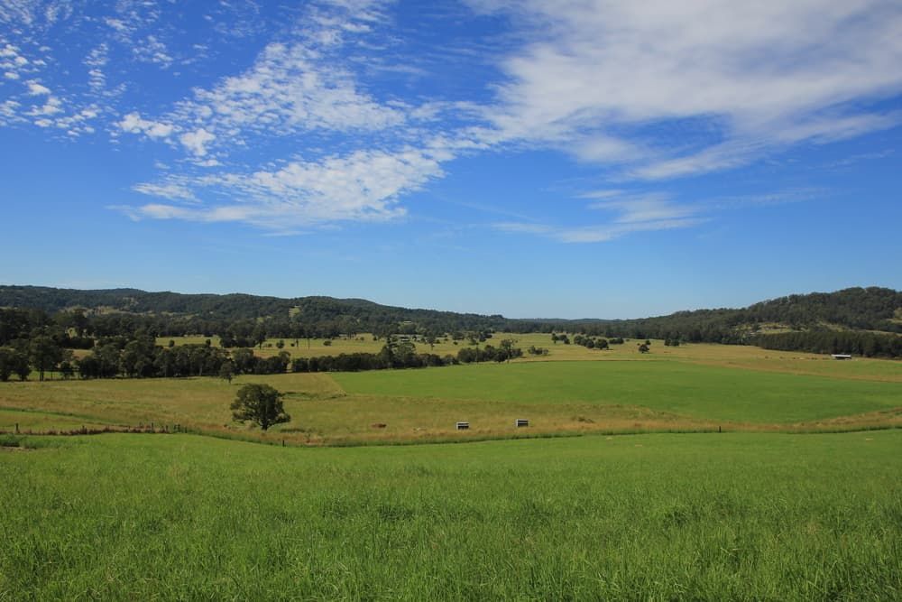 A Lush Green Field with Trees and Mountains in The Background — Twin Lakes Towing & Recovery in Sandgate, NSW