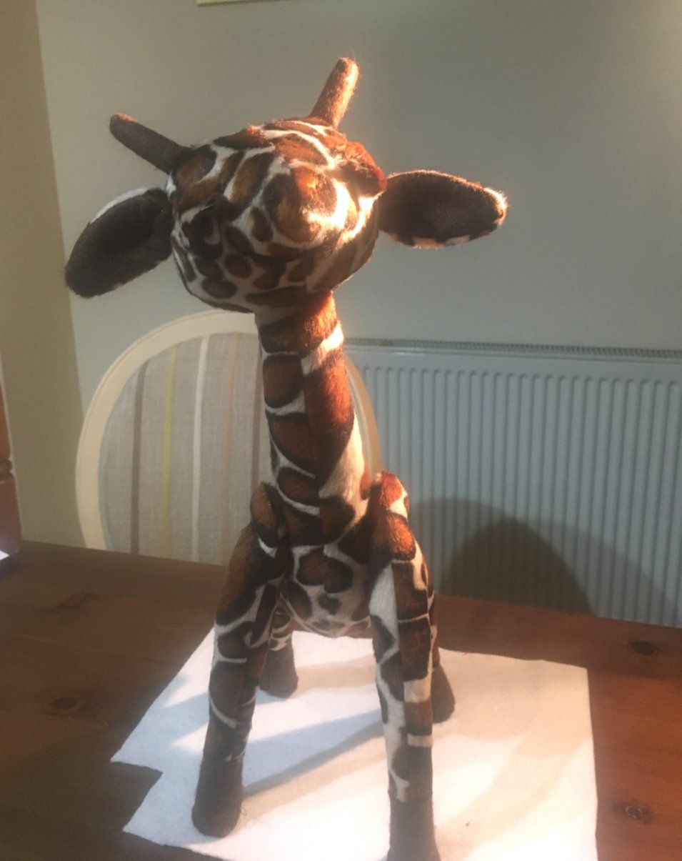 Gemini giraffe by Janet