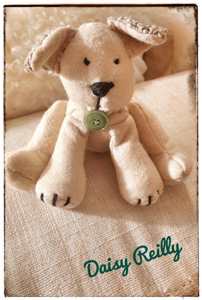Archie puppy by Daisy