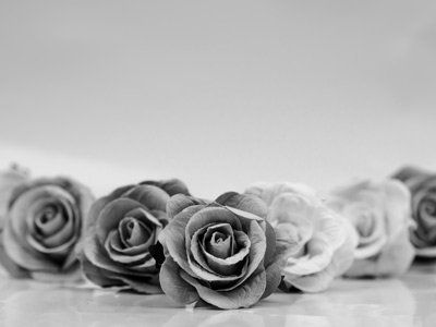 primo piano di rose in bianco e nero