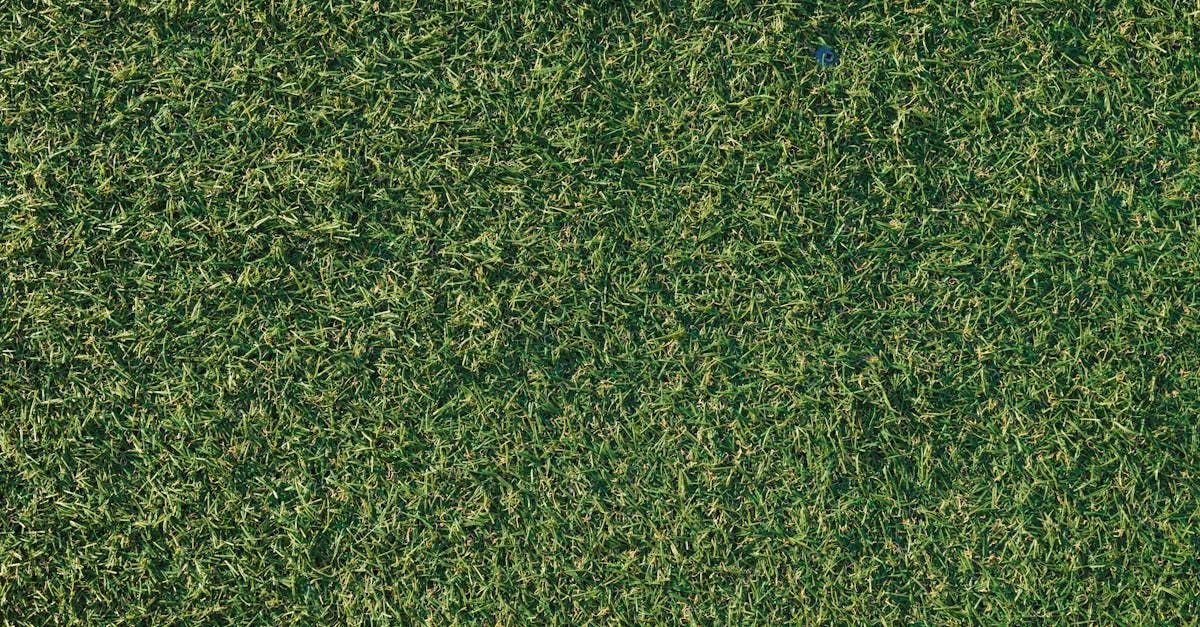 A close up of a green carpet texture.