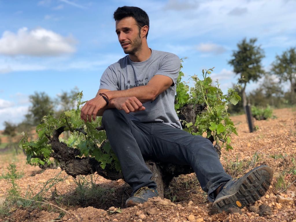 Alvar in the vineyard