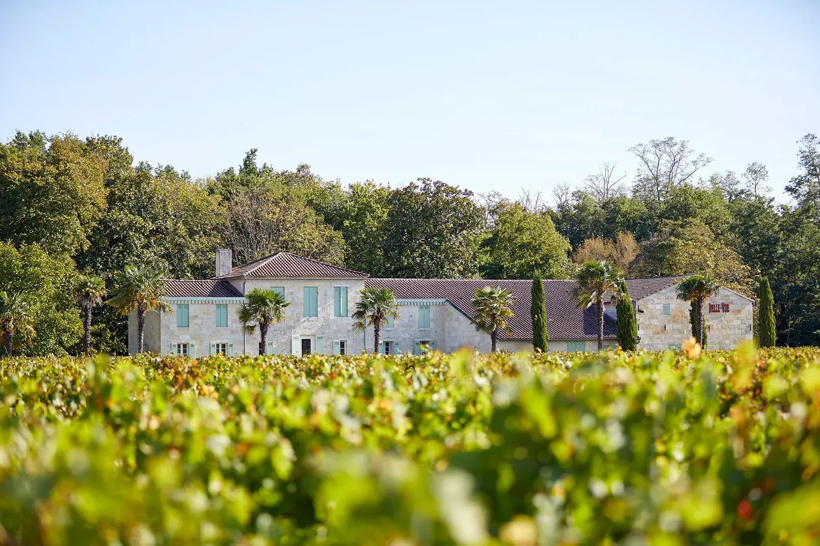 Stone building in a vineyard with rows of vineyards, at Château Belle-Vue
