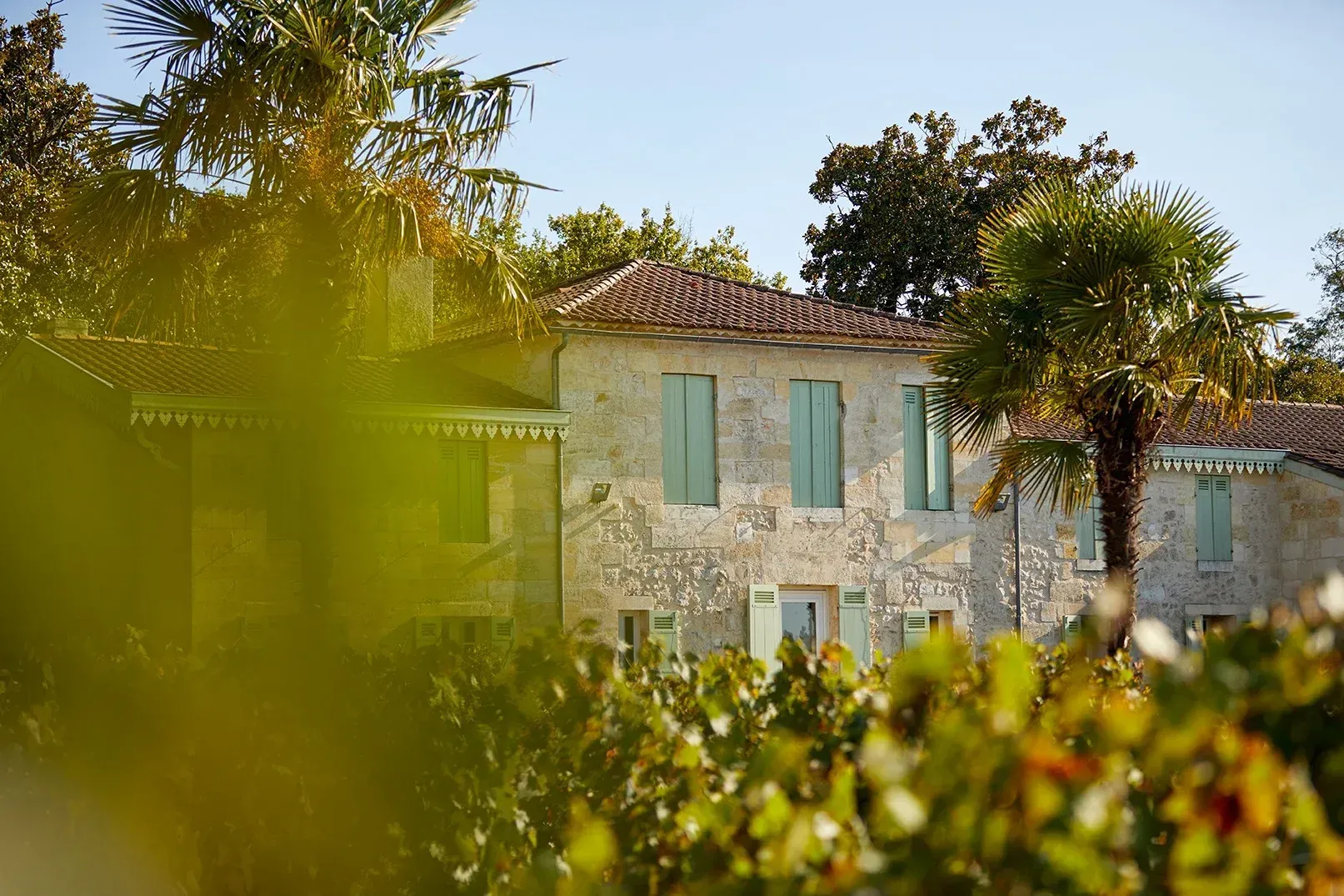 Stone house with blue shutters surrounded by grapevines and palm trees, at Château Belle-Vue