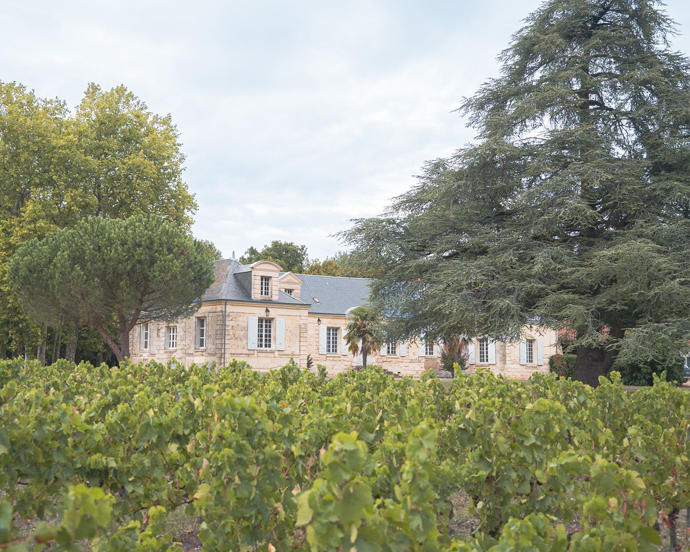 Château de Thésée - Le Domain