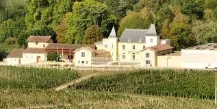 Château de Chambrun with turrets surrounded by vineyards and trees.