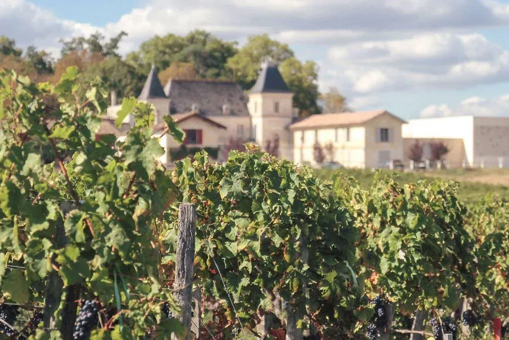 Château de Chambrun vineyard with rows of grapevines in the foreground, with château in the background.