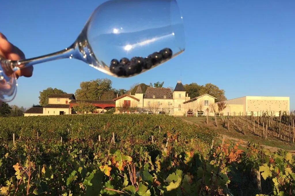 A hand holding a wine glass filled with grapes, overlooking Château de Chambrun vineyard.