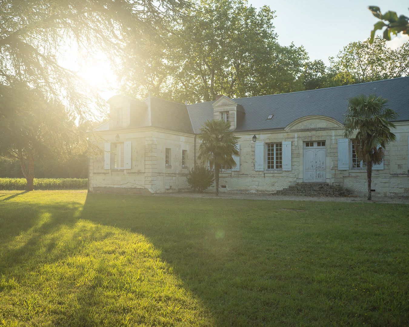 Château de Thésée - Sunlit view of a light-colored building with a gray roof, lawn, and trees.