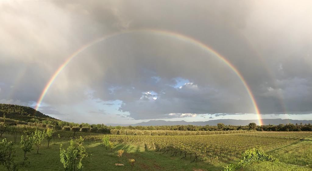 Introducing DOMAINE DES MASQUES