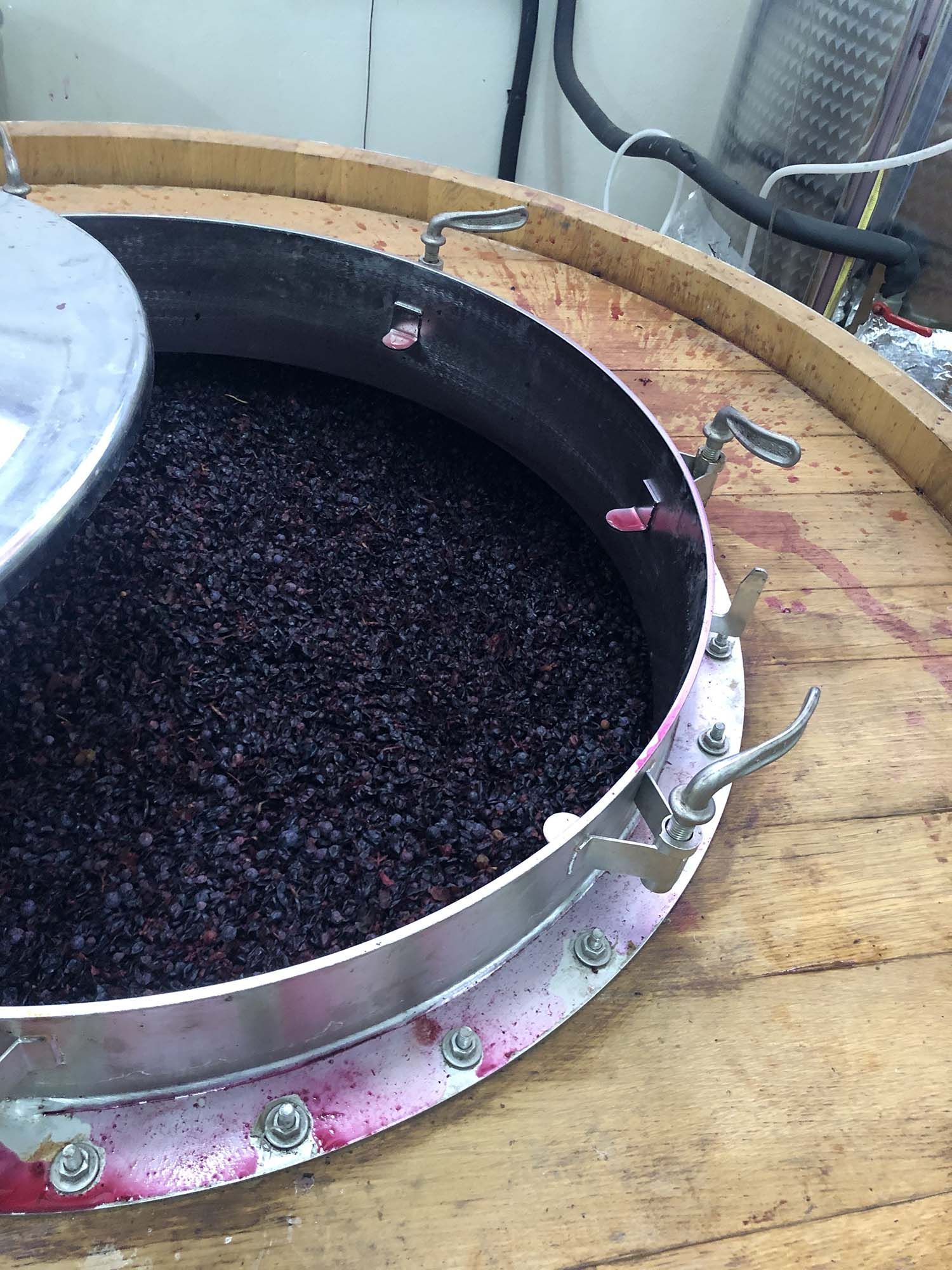 Large vat filled with dark grapes, partially covered by a metal lid, likely for winemaking.