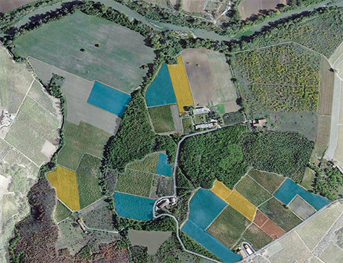 Fattoria La Rivolta Vineyard Map - Cru Wines