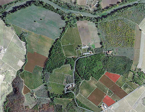 Fattoria La Rivolta Vineyard Map - Reds