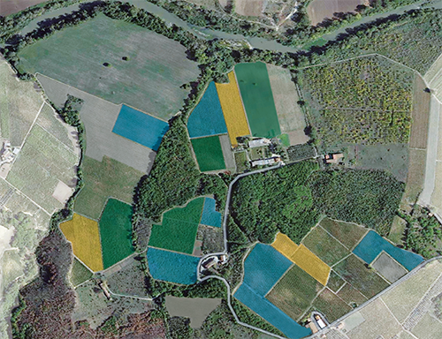 Fattoria La Rivolta Vineyard Map - Whites