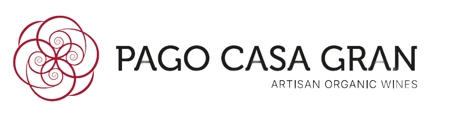Pago Casa Gran - Logo