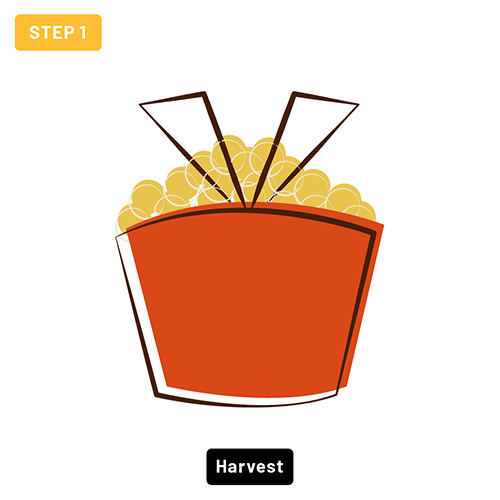 Step 1 - Harvest - Grape Basket