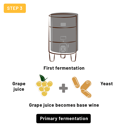 Step 3 - Primary fermentation