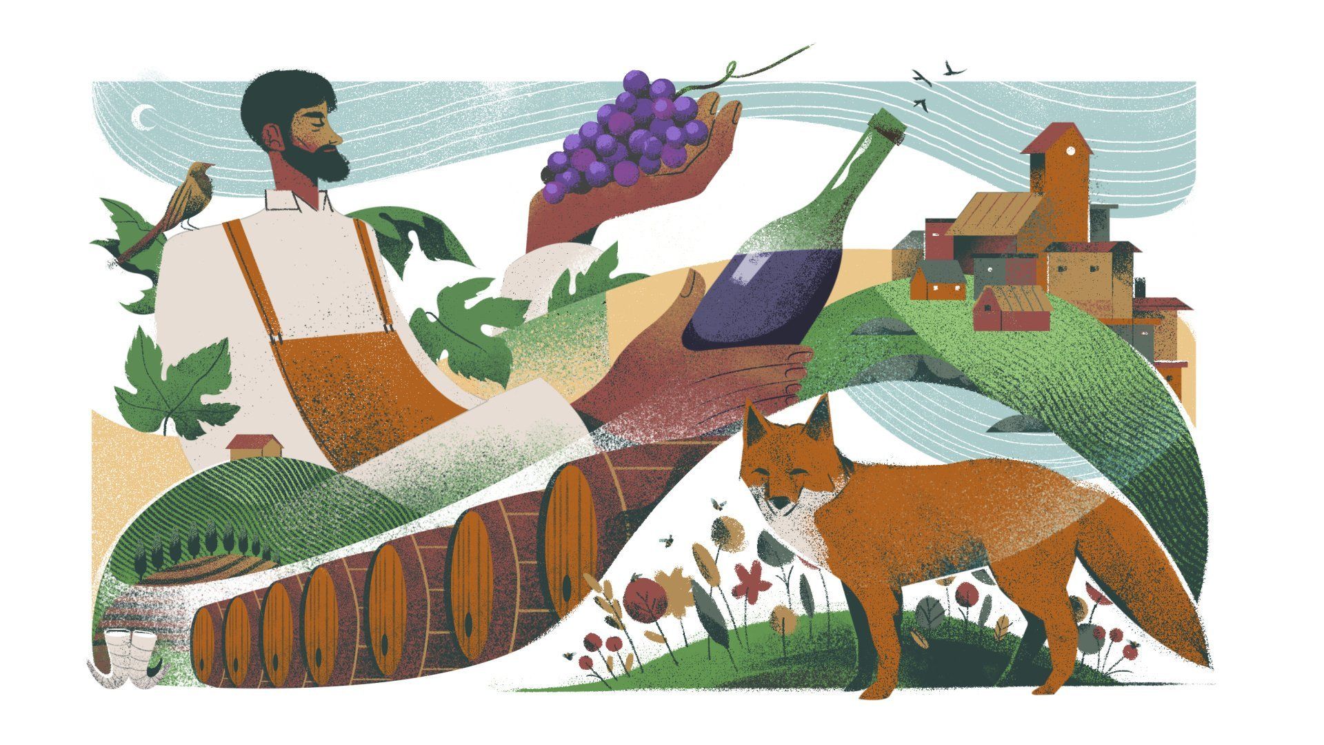 Vino Al Vino natural wine illustration