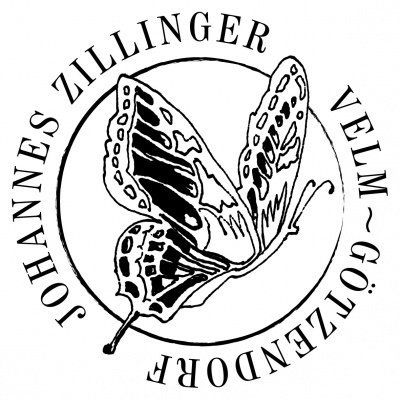Johannes Zillinger - Logo