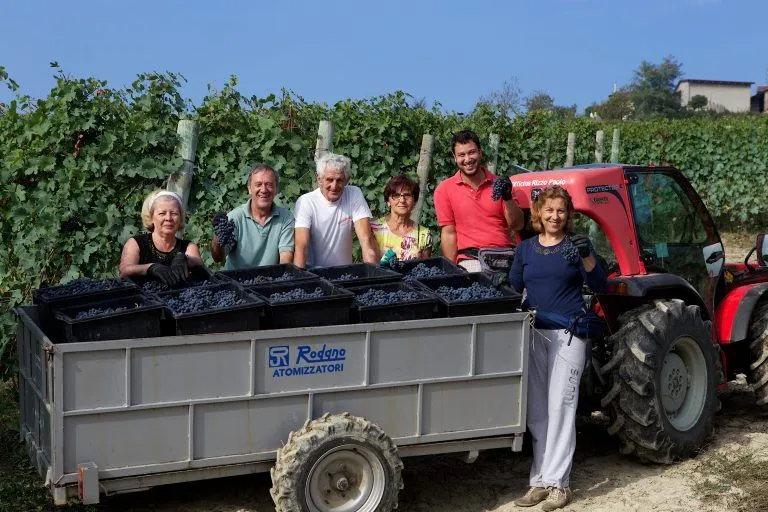 Voerzio team in vineyard