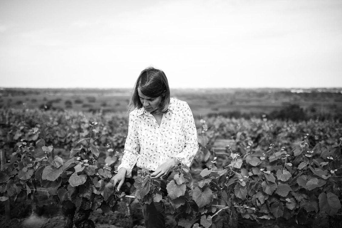 Domaine Luneau-Papin - Marie Chartier in the vineyards