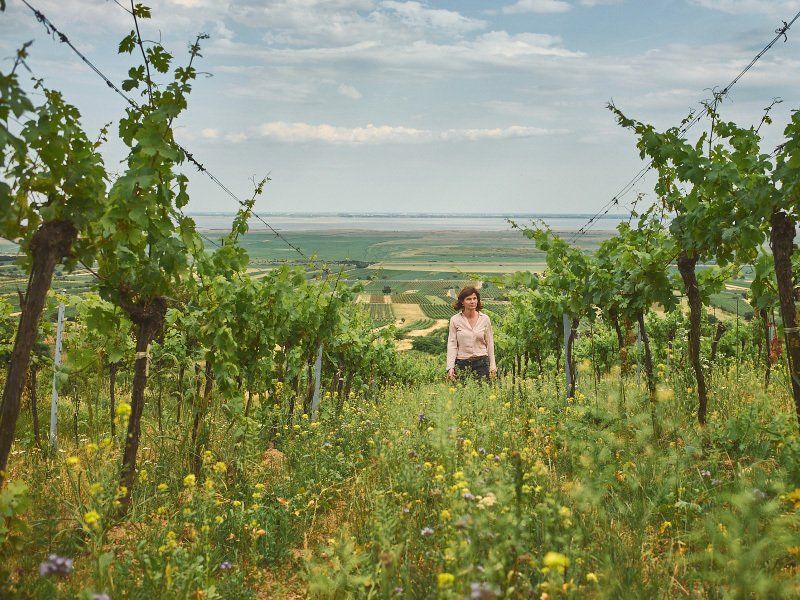 Birgit Braunstein in her vineyards