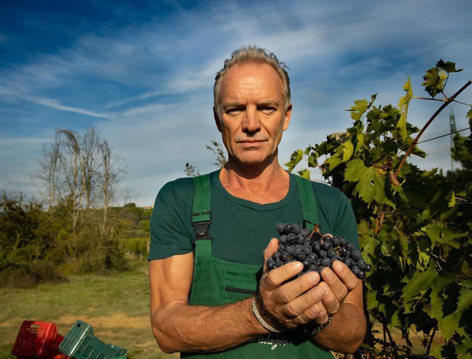 Il Palagio - Sting with a handful of grapes in vineyards