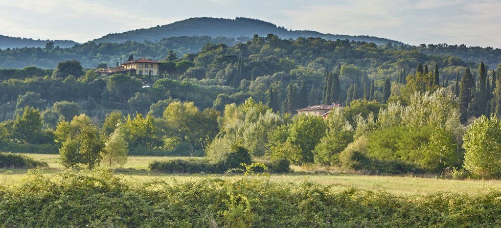 Il Palagio - The Tuscan Hills