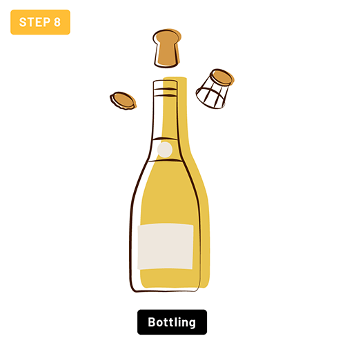 Step 8 - Bottling