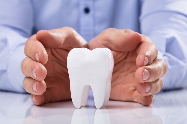 Large Tooth Replica With Hands Around it on Table | Dental Insurance in Garland TX 75040
