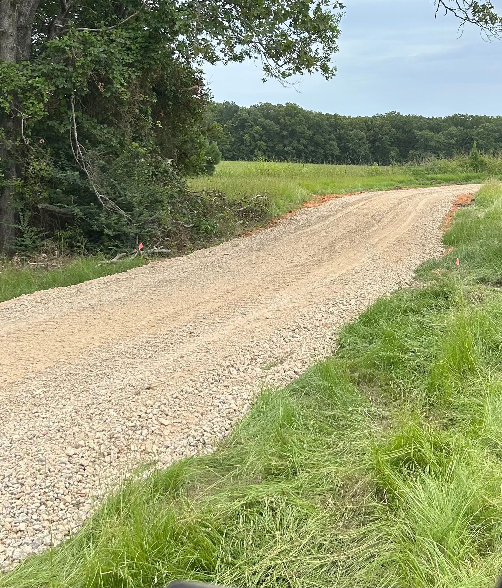 Gravel driveway through a grassy area, leading towards a treeline on a cloudy day.