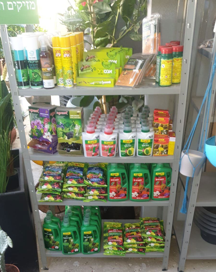 הדברה ודישון