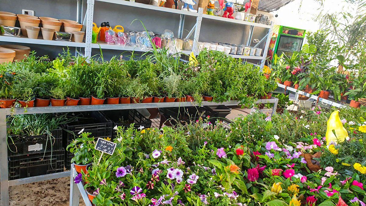 פרחים ותבלינים