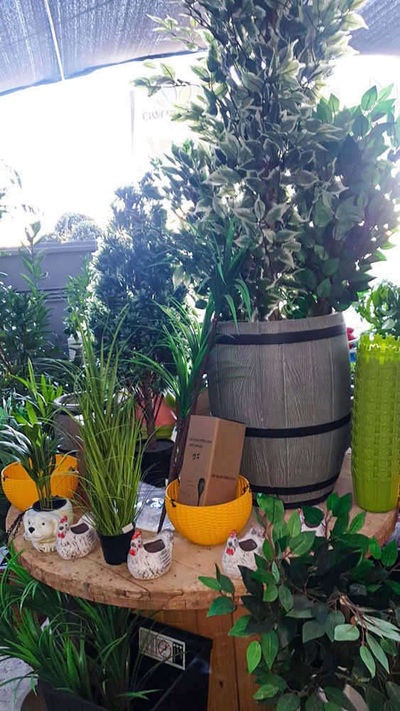 הדברה ודישון