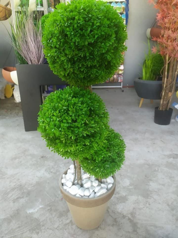 עצי פרי ושיחים