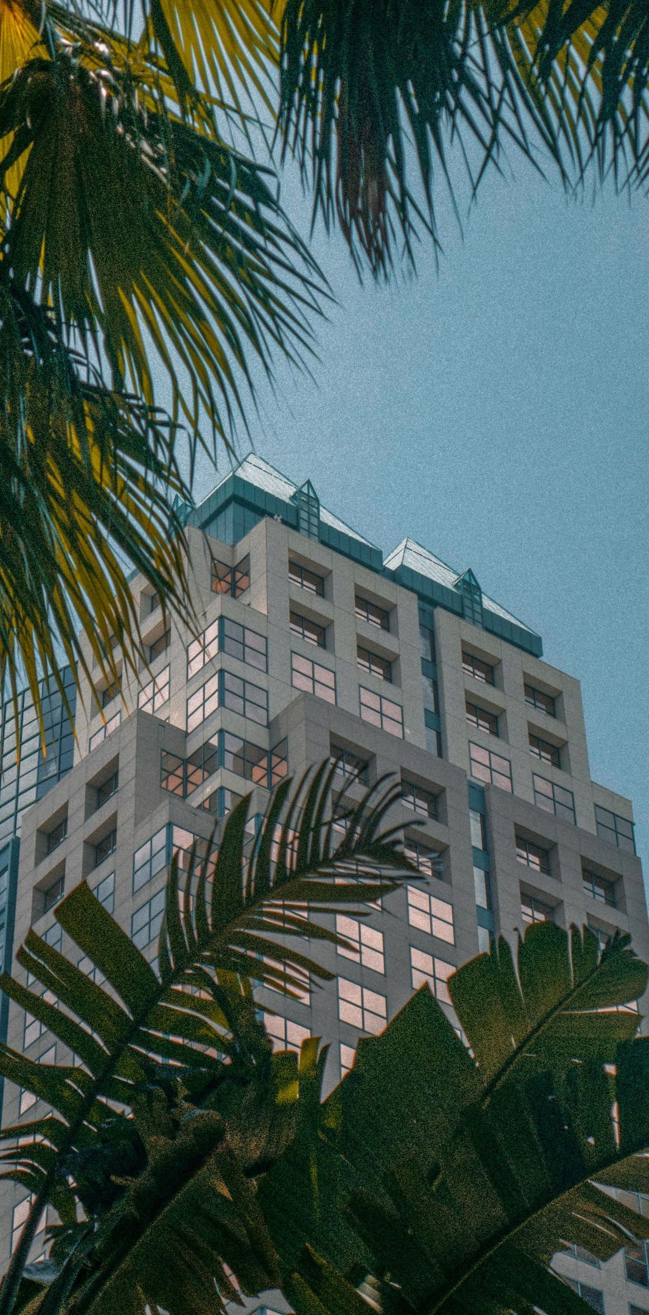 A tall building with palm trees in front of it.